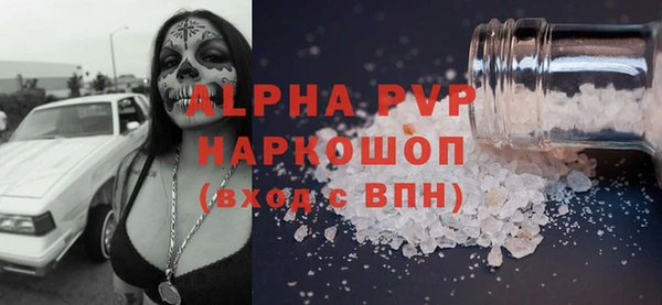 сатива Корсаков