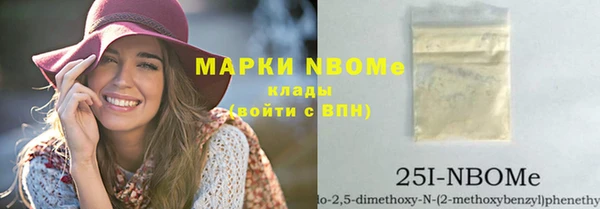 дурь Краснослободск