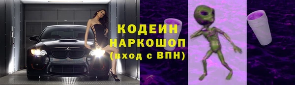 дурь Краснослободск