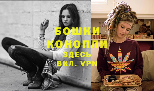 дурь Краснослободск
