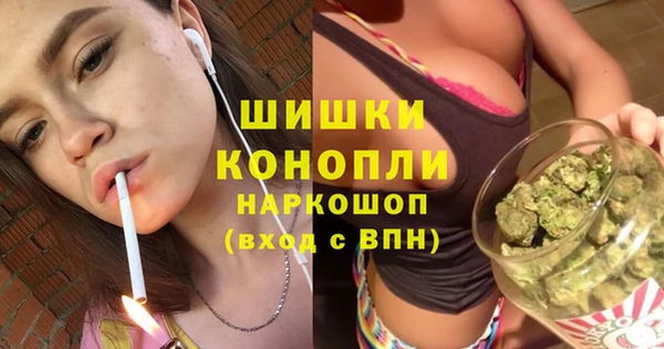 дурь Краснослободск