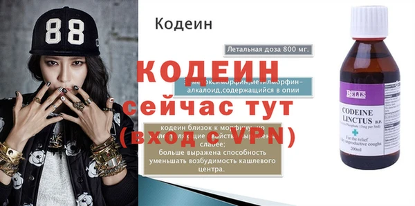 дурь Краснослободск