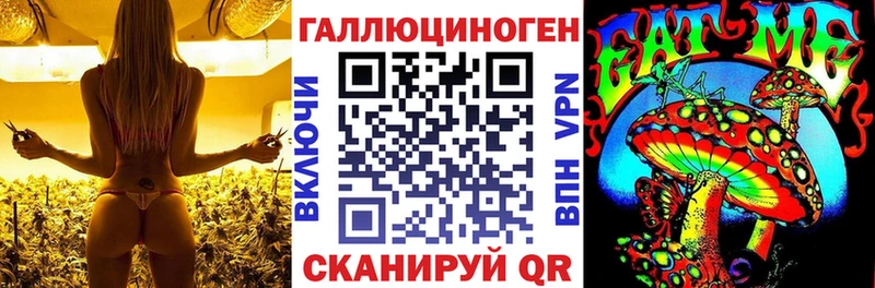 Купить  Ликино-Дулёво  Псилоцибиновые грибы GOLDEN TEACHER 